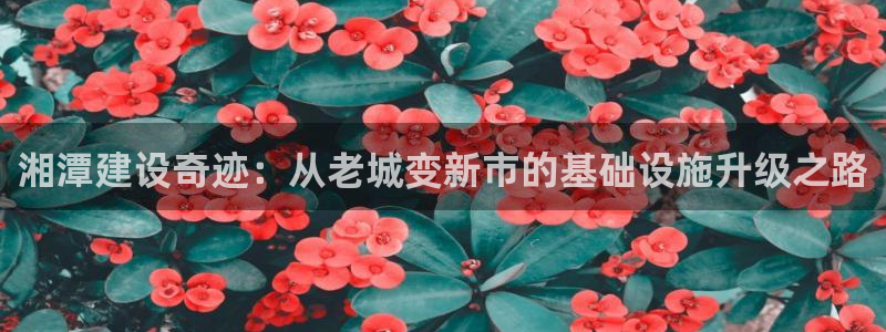 风暴娱乐图片