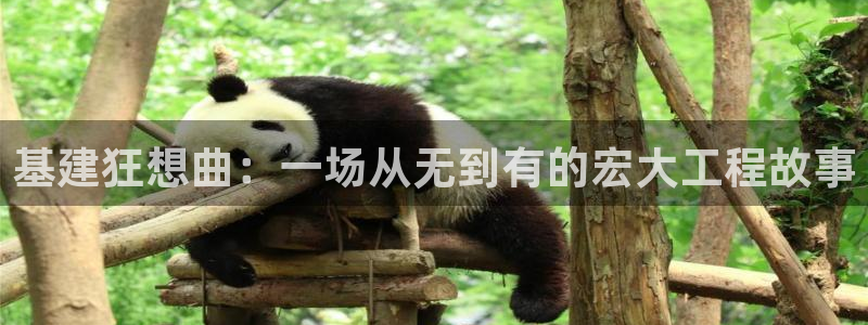 风暴娱乐求333OOf